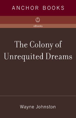 [Newfoundland Trilogy 01] • The Colony of Unrequited Dreams
